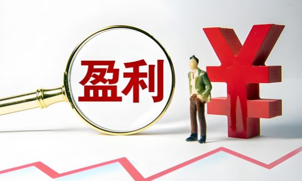 提取盈利 提取盈利
